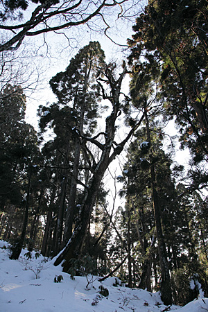 e0113053_23385923.jpg