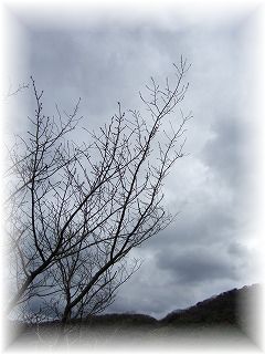 e0131153_21353541.jpg