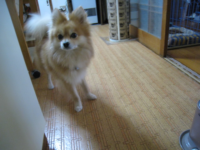 e0124154_2231025.jpg