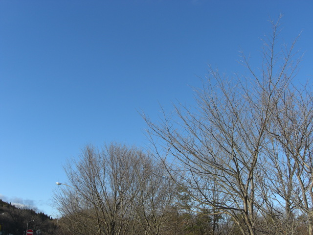 c0169360_220049.jpg
