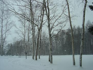 f0036269_1465728.jpg