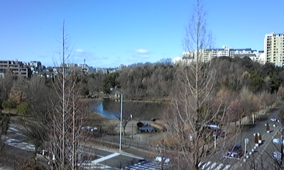 c0061774_181455.jpg