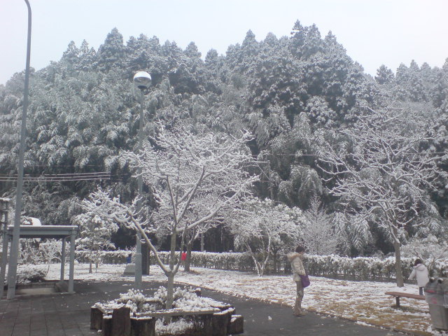 c0060076_942136.jpg