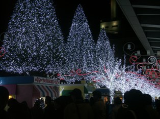 c0157378_211825.jpg