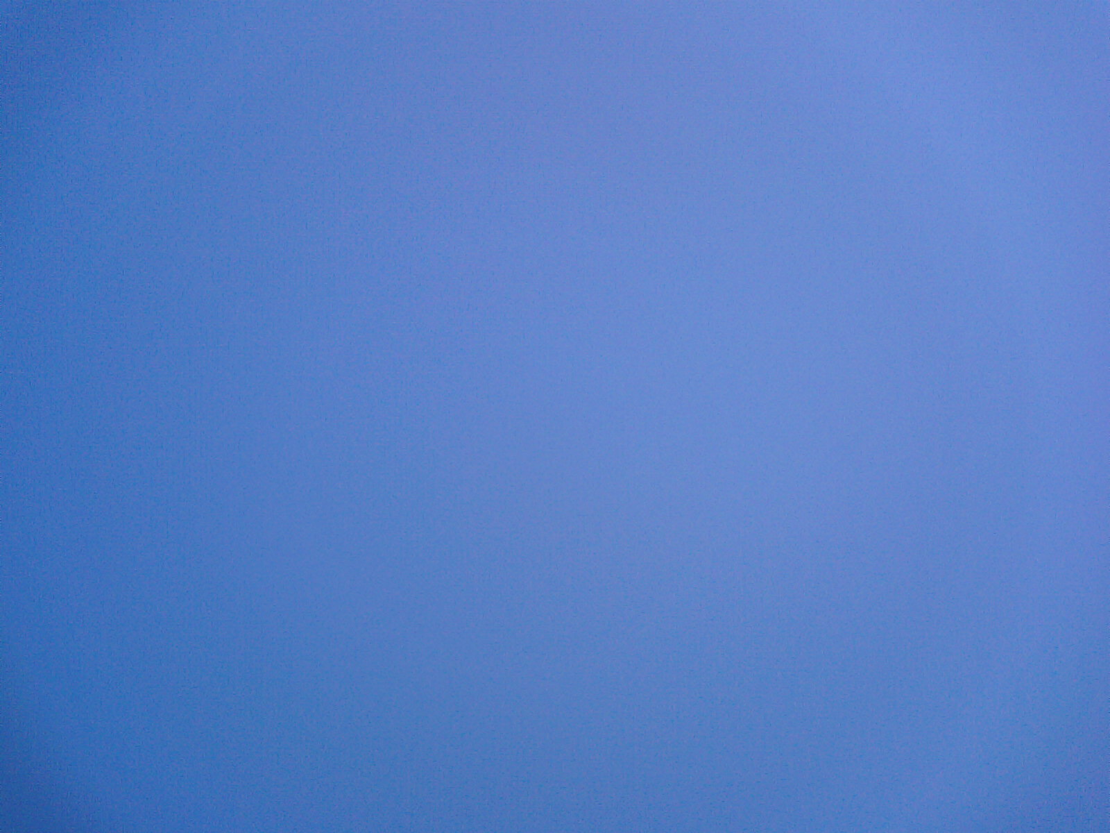 e0044881_204528.jpg