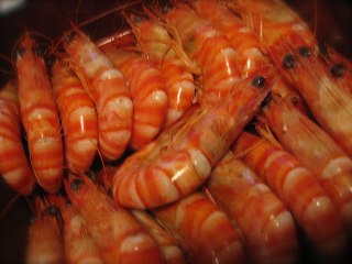 e0132881_20555272.jpg