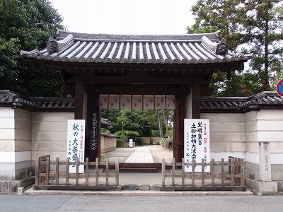 c0105785_2034207.jpg
