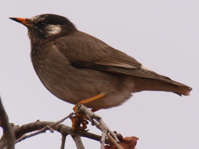 c0187587_21292186.jpg