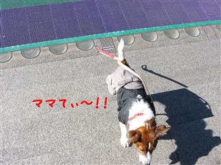 e0121589_19255023.jpg