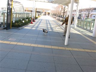 e0121589_19332323.jpg