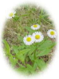c0122791_17184928.jpg
