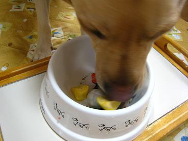c0028792_0152066.jpg