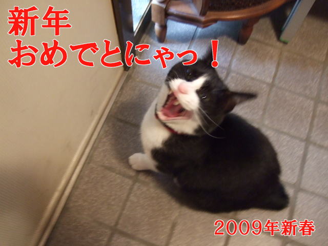 c0150193_1326832.jpg