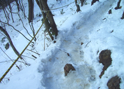 b0099994_1132685.jpg