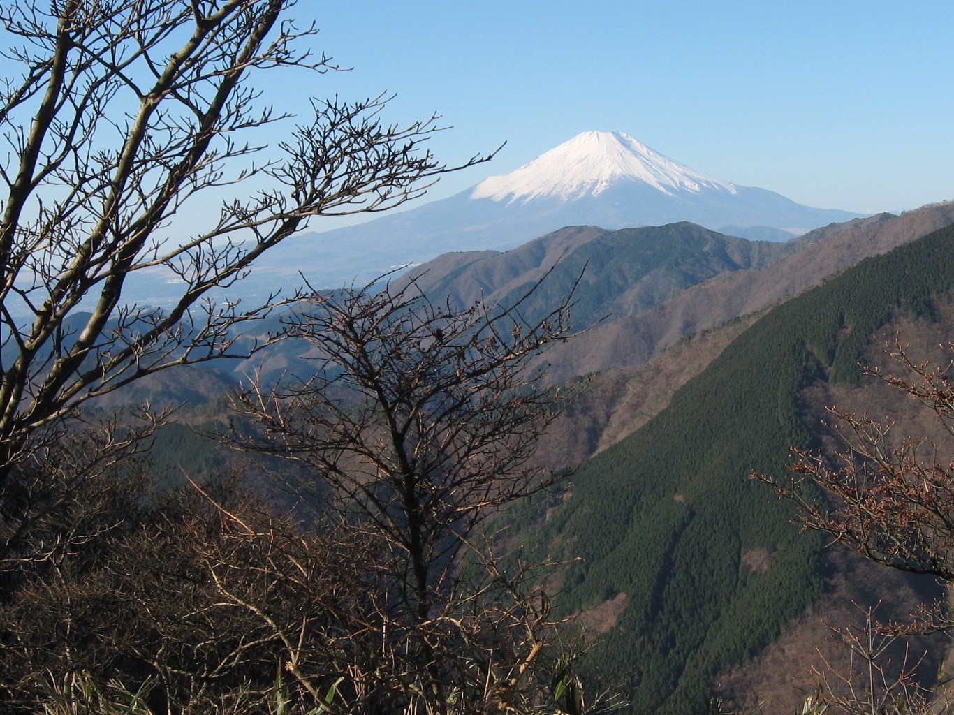 b0146794_23235383.jpg