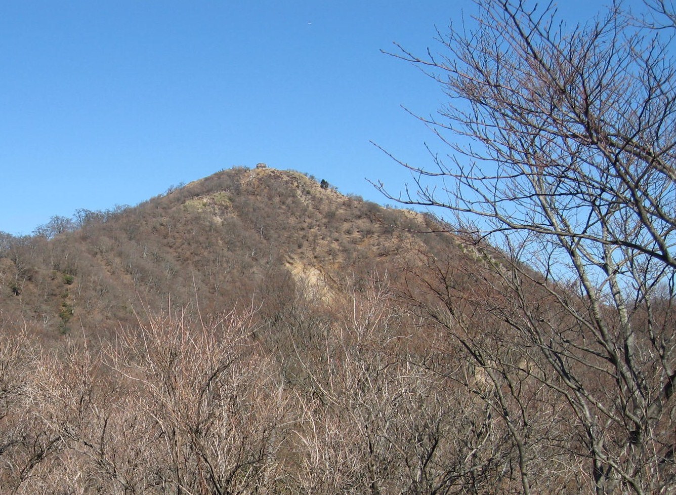 b0146794_23242268.jpg