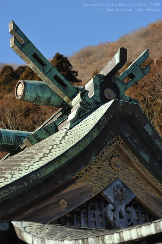 a0062697_2081146.jpg