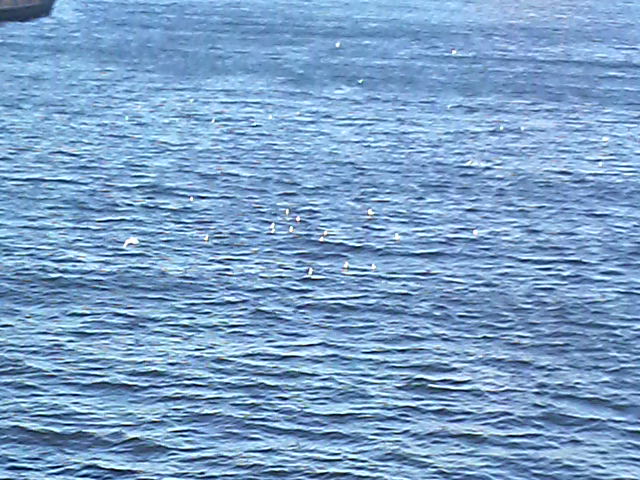 b0136198_2302351.jpg