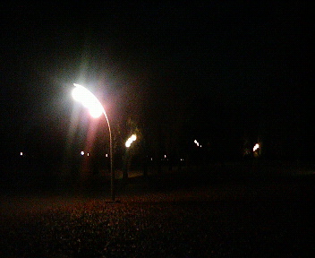 d0148202_155495.jpg