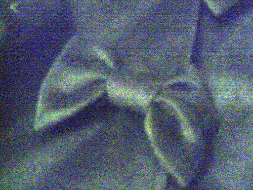 a0068306_23512866.jpg
