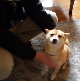 f0004309_094329.jpg