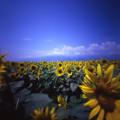 c0016712_22514515.jpg