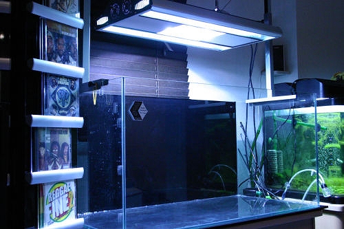c0101419_15415975.jpg