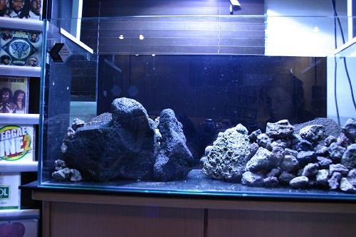 c0101419_1543493.jpg
