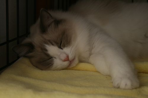 f0153125_025519.jpg