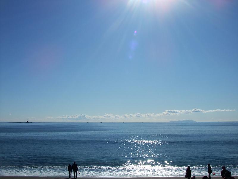 b0046527_849848.jpg