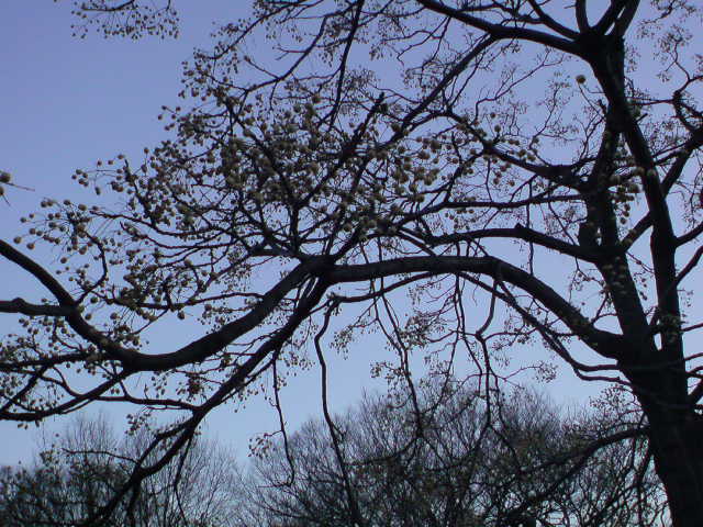 e0016828_22271961.jpg