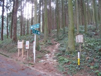c0077338_0273258.jpg
