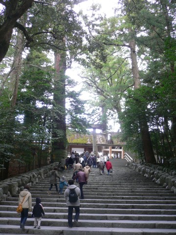b0041442_1221877.jpg