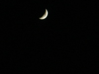 c0153444_7365881.jpg