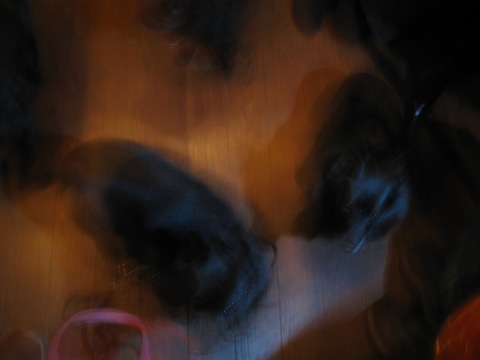 a0009750_165579.jpg