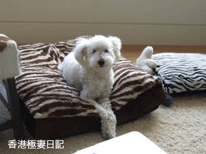f0190653_1282896.gif