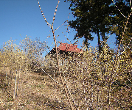 a0001354_18581522.jpg