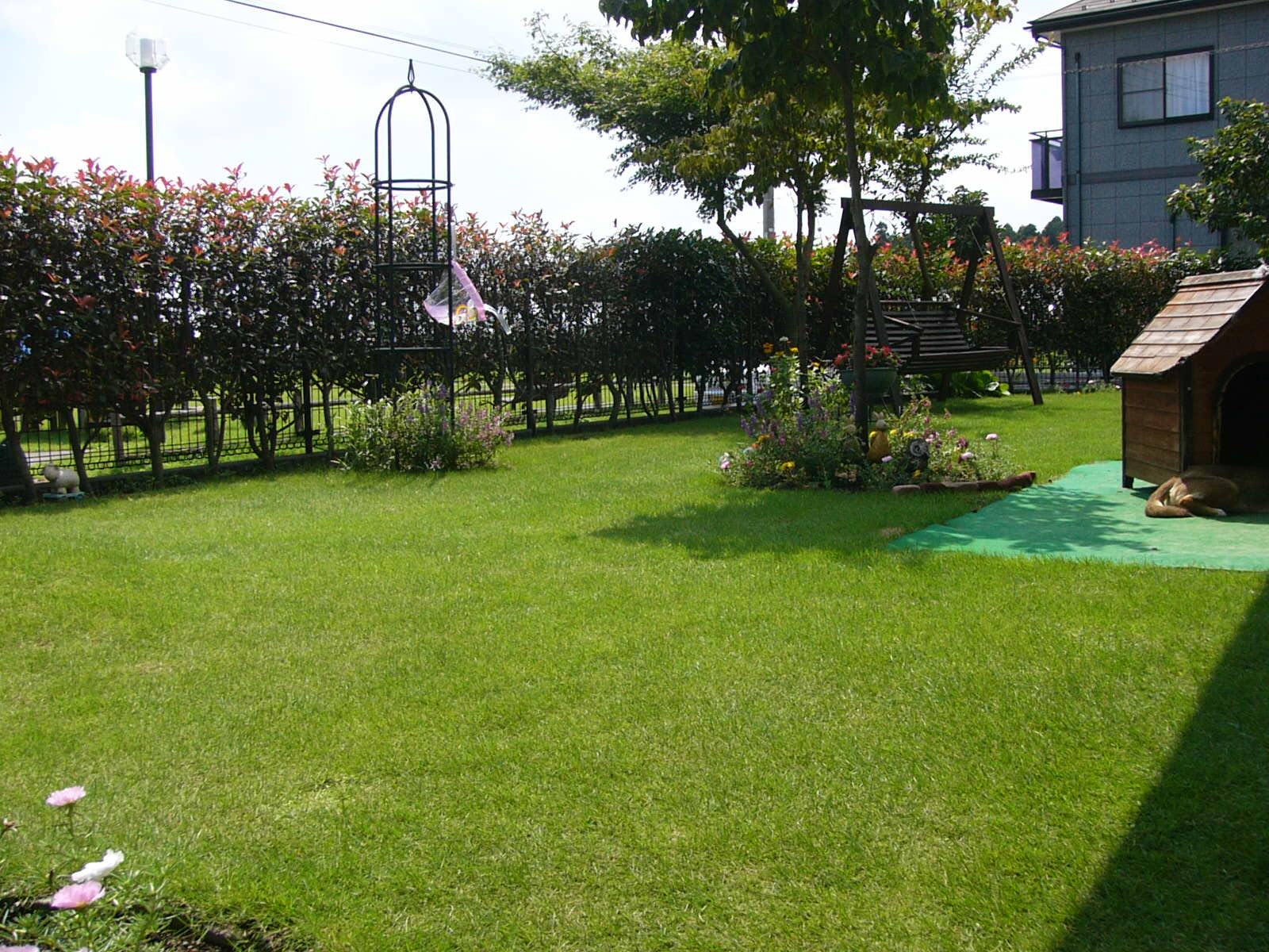 f0175754_15362843.jpg