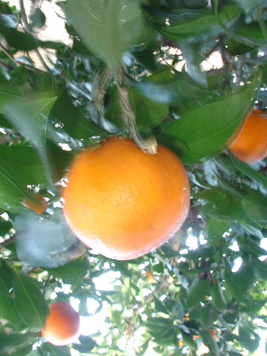 f0166066_21203651.jpg