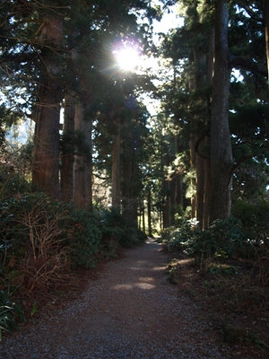 c0102268_23594657.jpg