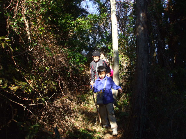 c0138868_1511485.jpg