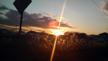 c0127670_23451348.jpg