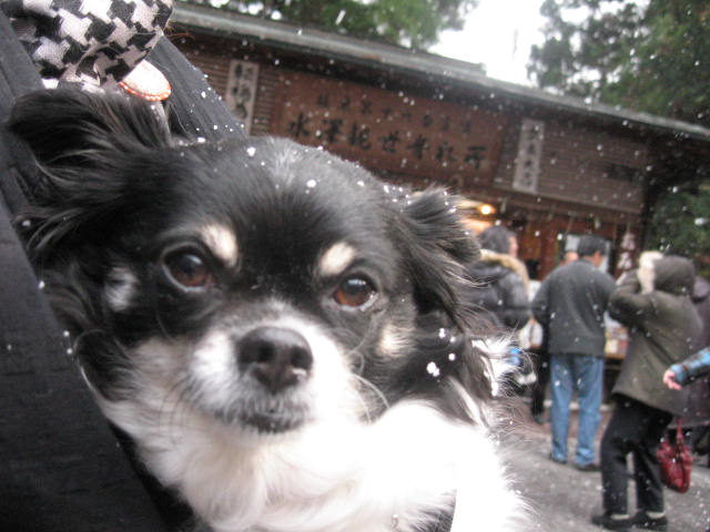 d0070473_12404056.jpg