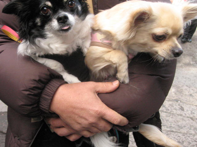 d0070473_13124854.jpg