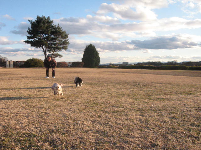 d0070473_13185755.jpg