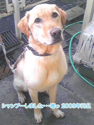 f0161874_23572752.gif