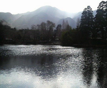 b0117276_1862662.jpg