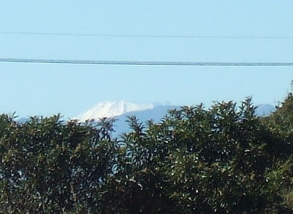 b0136381_14547.jpg