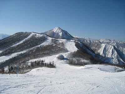 a0038882_1082391.jpg