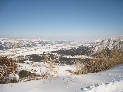 a0038882_1084338.jpg